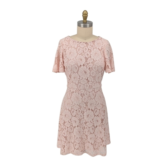 Eliza J Lace A Line Dress Pink 12 wedding preppy coquette girl cocktail party - Picture 1 of 6